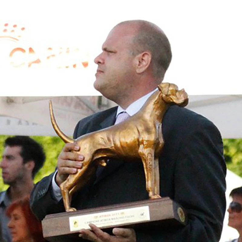 Miloš Lučić
